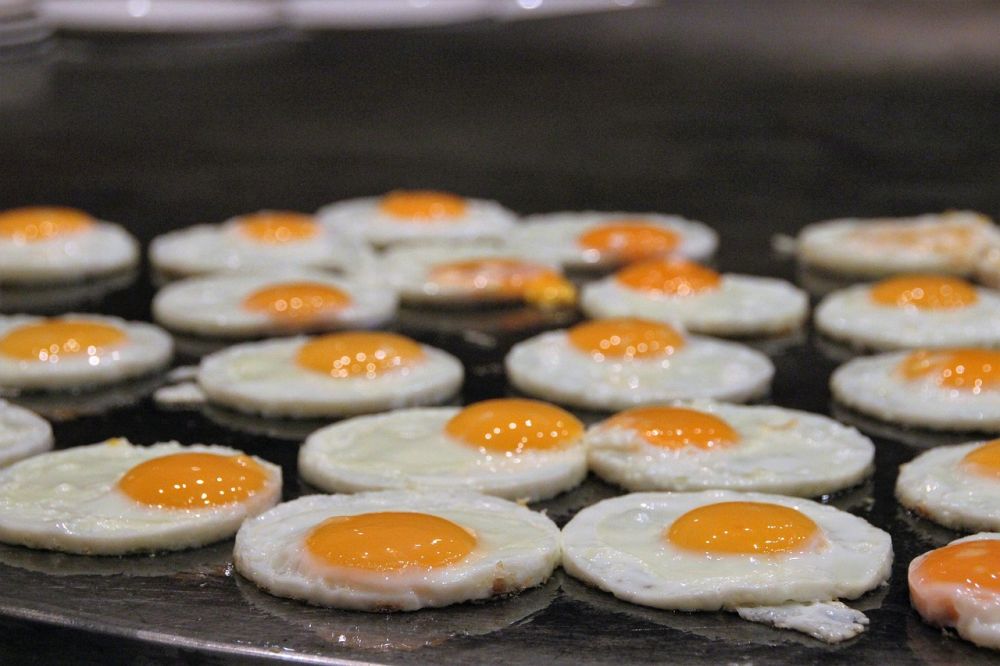 vaktelägg